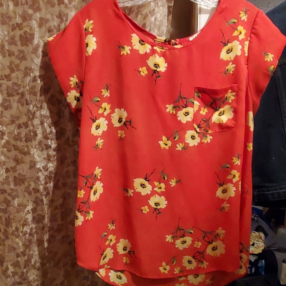 Blusa